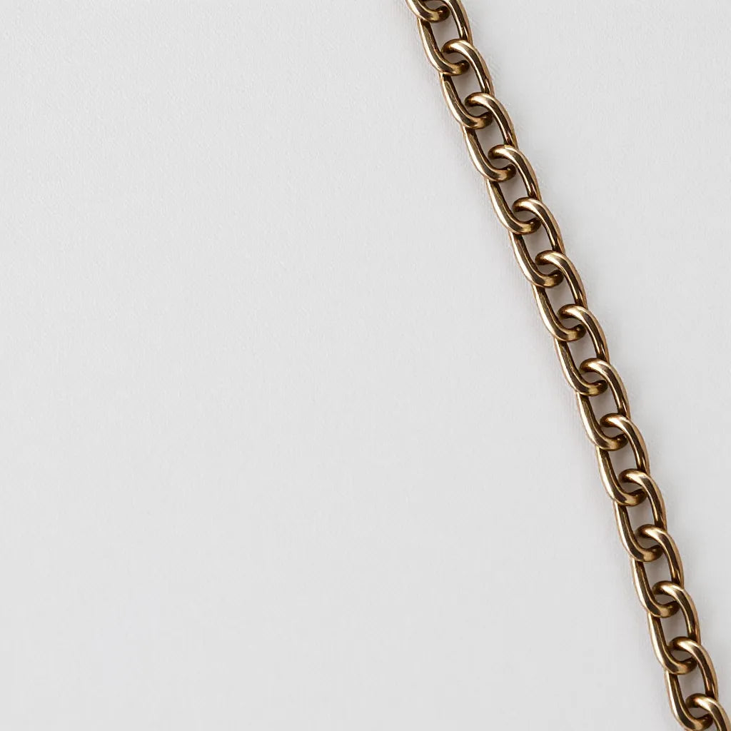 Polished franco chain necklace on a neutral background with clear link detail and soft reflections